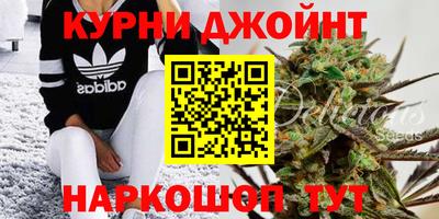 a pvp Краснознаменск